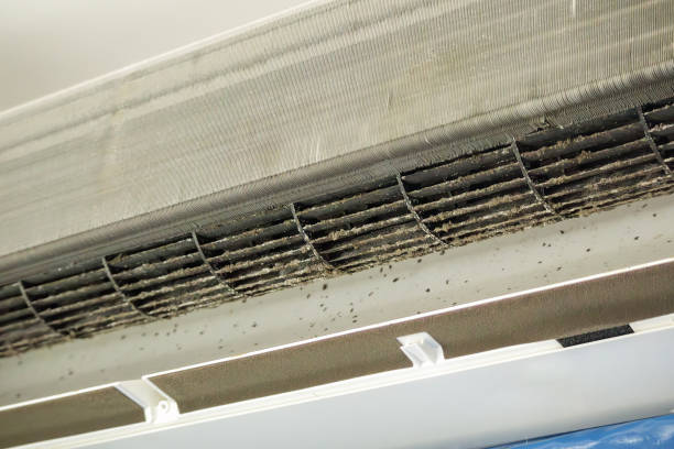 Best Emergency Air Duct Cleaning  in North Utica, IL